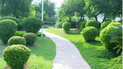 園林綠化工程施工規范與操作要點