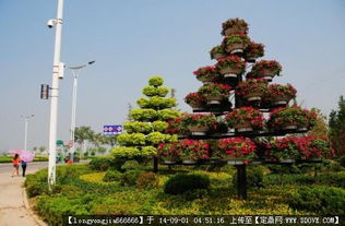 園林綠化工程中的核心要素 從設計圖紙到實景呈現的完整解析